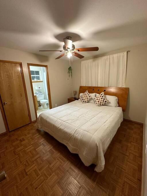 Mcallen 4Br With Pool, Shopping & More Экстерьер фото