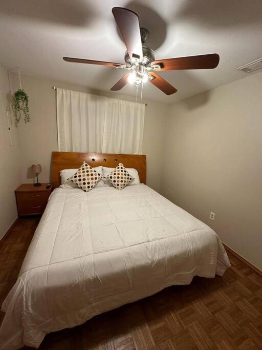 Mcallen 4Br With Pool, Shopping & More Экстерьер фото
