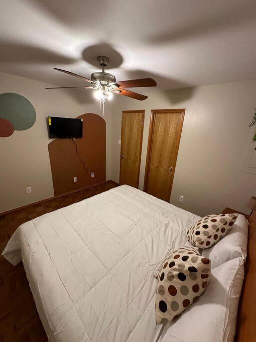 Mcallen 4Br With Pool, Shopping & More Экстерьер фото
