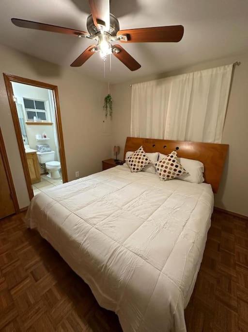 Mcallen 4Br With Pool, Shopping & More Экстерьер фото